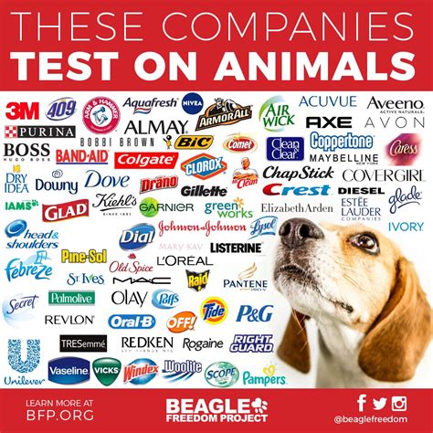 268+ Companies That Test On Animals (2024 Update) .